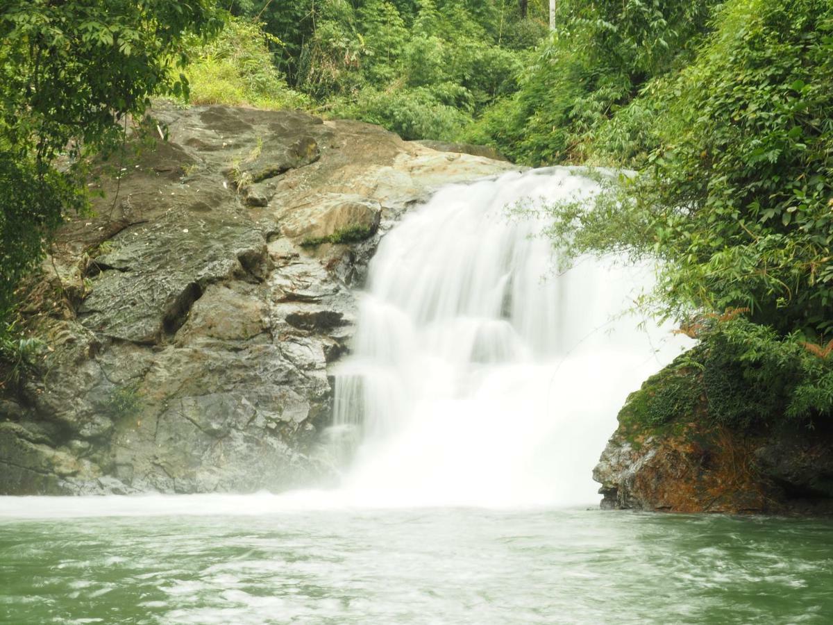 Gaarawe